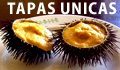 Banner Sq Galatea
