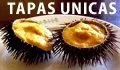 Banner Sq Galatea