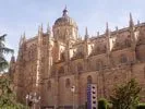 Moncatedral
