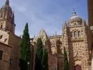 Moncatedralvieja