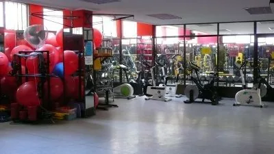 聯系方式_福建盤扣生產線,福建盤扣哪家好,福建盤扣選哪家