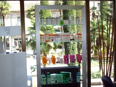 盤扣做外架1